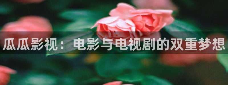 白云是怎么形成的过程视频：瓜瓜影视：电影与电视剧的双重梦想