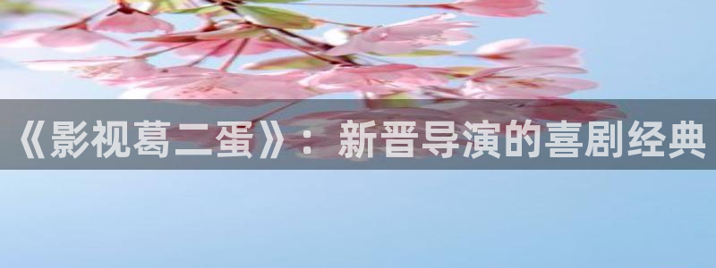 白云视频免费：《影视葛二蛋》：新晋导演的喜剧经典