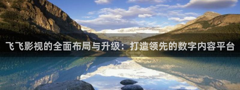 广州白云国际机场视频：飞飞影视的全面布局与升级：打造领先的数字内容平台