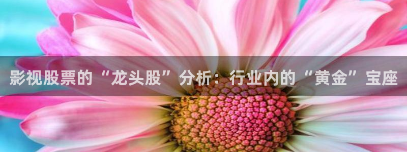 白云视频追剧：影视股票的“龙头股”分析：行业内的“黄金”宝座