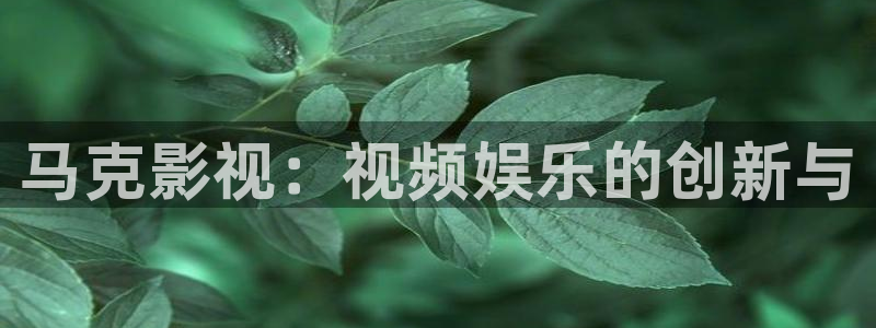 白云tv白云mv在线观看：马克影视：视频娱乐的创新与