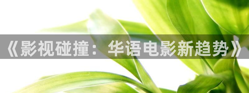 白云视频最新版的：《影视碰撞：华语电影新趋势》